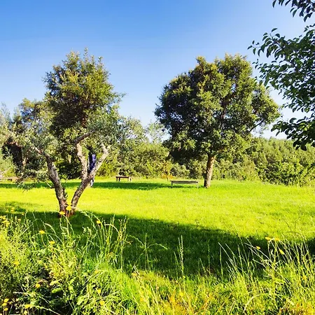 Lodge Casa Florestal - Nature *