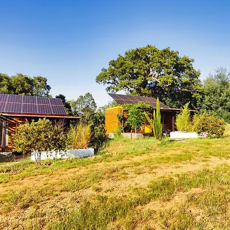 Lodge Casa Florestal - Nature